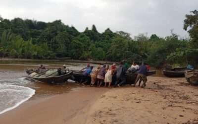 Conservation : le suivi écologique au sein du Parc Marin ne concerne pas seulement les tortues marines !