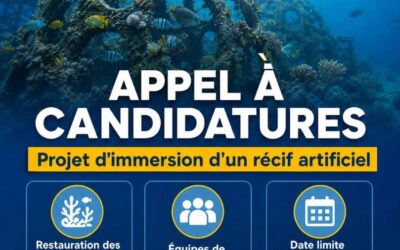 APPEL À CANDIDATURES – Projet d’immersion d’un récif artificiel dans le PNMNEC