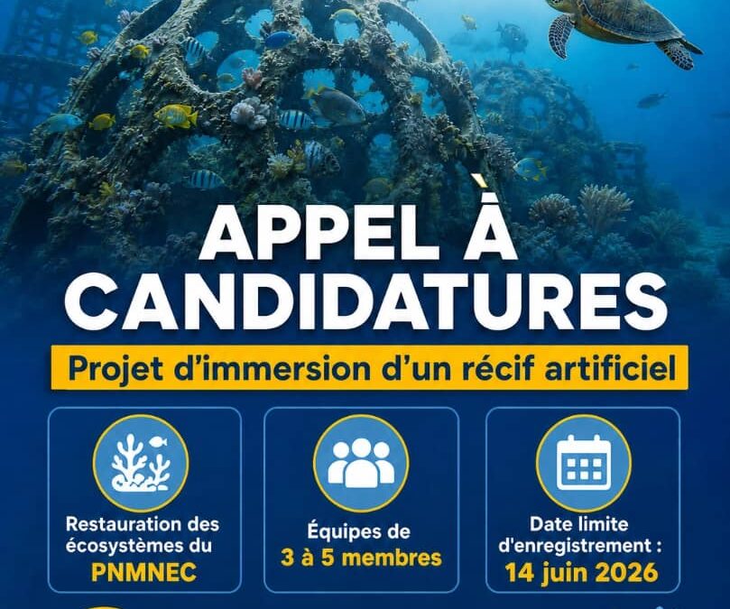 APPEL À CANDIDATURES – Projet d’immersion d’un récif artificiel dans le PNMNEC